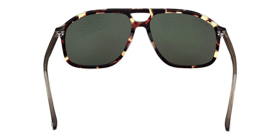 Web™ - WE0338