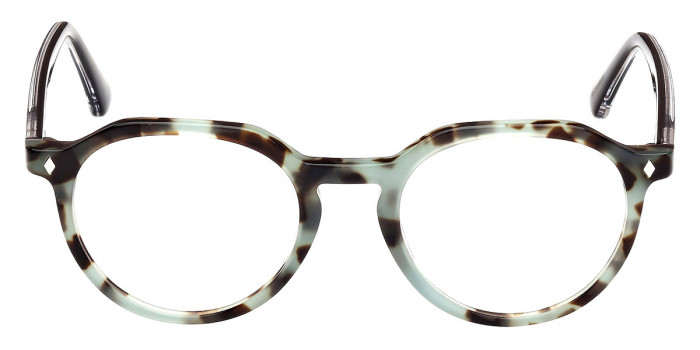 Web™ WE5427 055 50 - Colored Havana/Black/Crystal