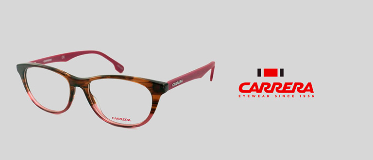 Carrera Butterfly Eyeglasses