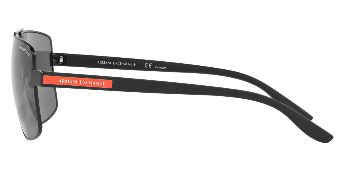 Armani Exchange™ AX2037S Aviator Sunglasses 2023 | $65.50 EyeOns.com
