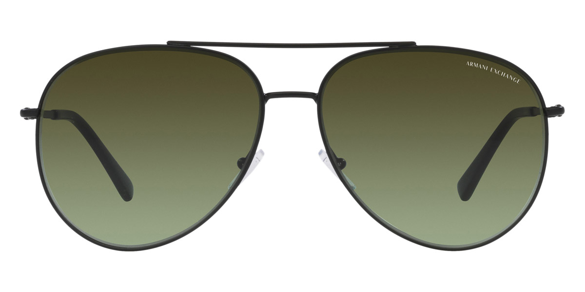 Armani Exchange™ AX2043S 6000E8 62 Matte Black Sunglasses