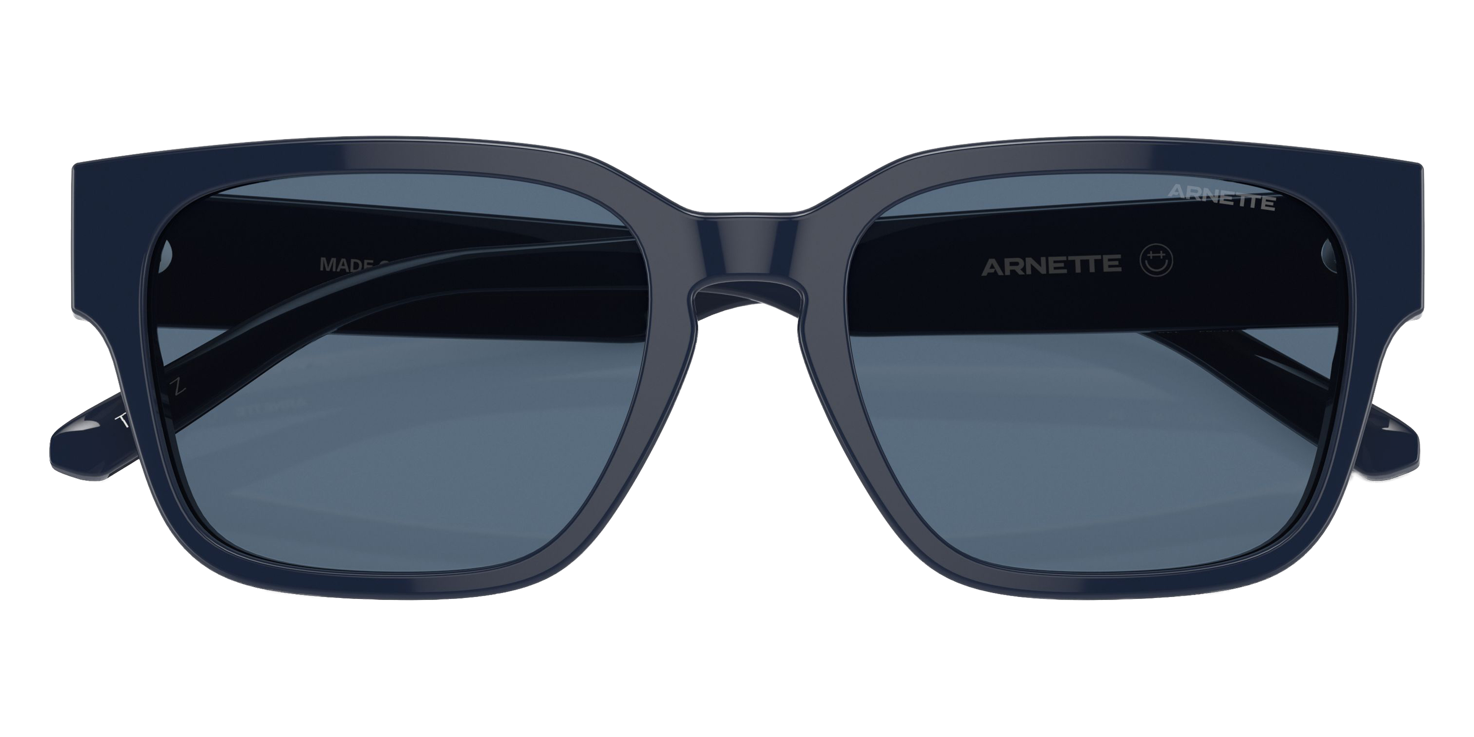 Arnette™ - AN4294 Type Z