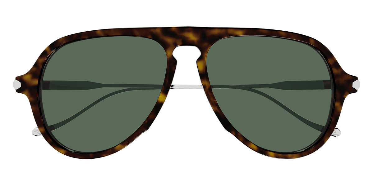Brioni™ - BR0104S