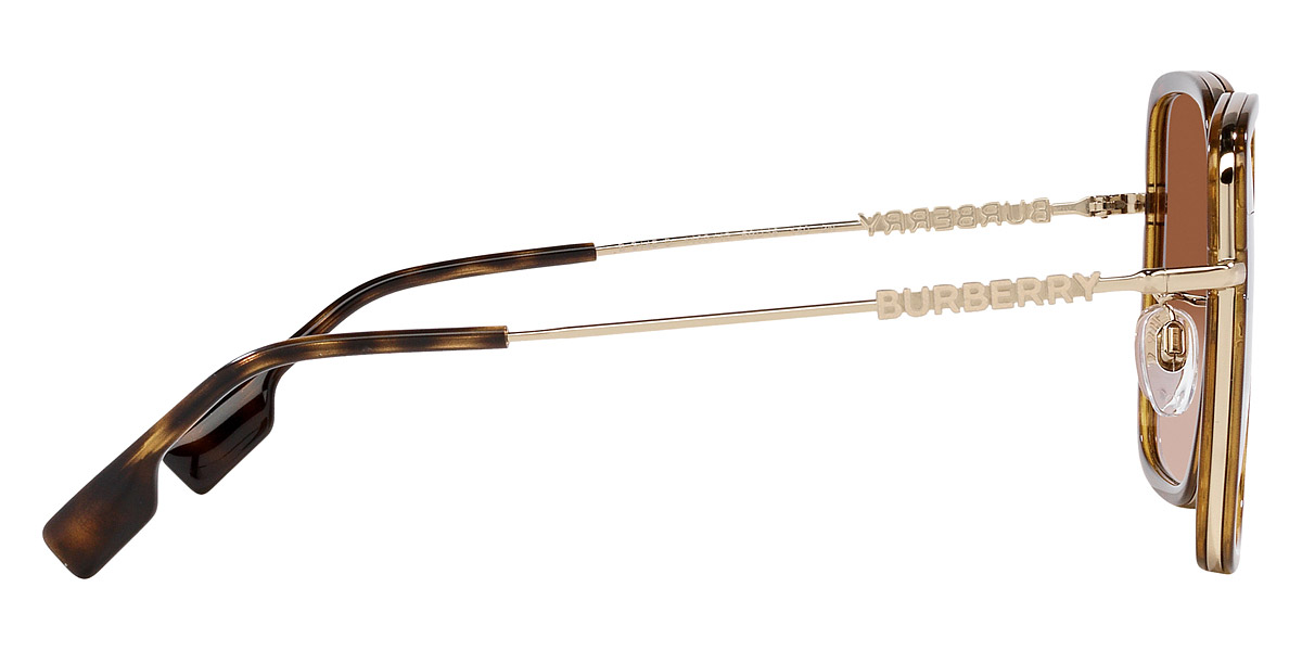 Color: Dark Havana/Light Gold (110913) - Burberry BE3145D11091358