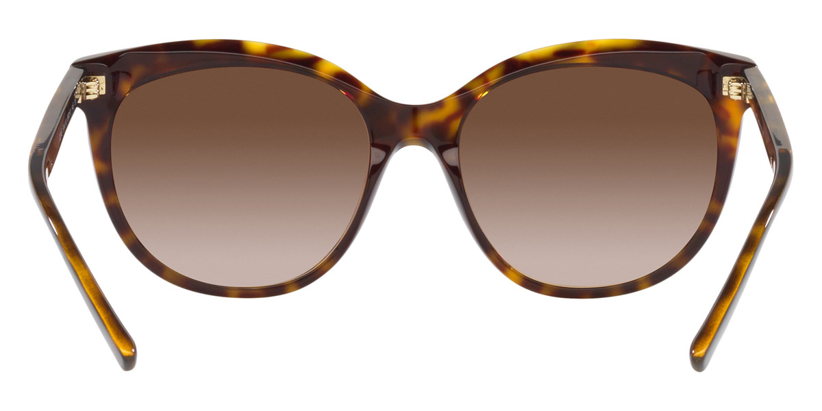 Color: Havana (504/13) - Bvlgari BV8249504/1356