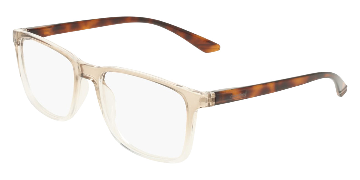 Color: Transparent Gradient Taupe (260) - Calvin Klein CKOCK19573N26054