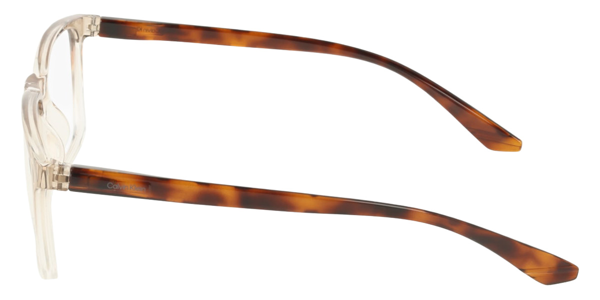 Color: Transparent Gradient Taupe (260) - Calvin Klein CKOCK19573N26054