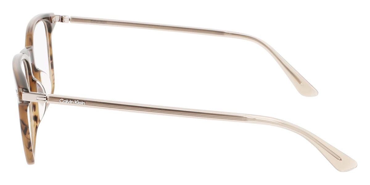 Color: Striped Olive (317) - Calvin Klein CKOCK2254131755