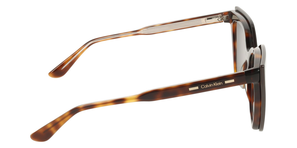 Color: Havana (242) - Calvin Klein CKOCK24550MAG-SET24255