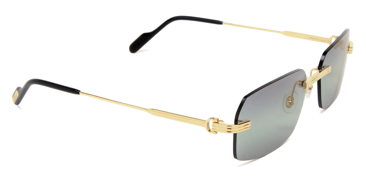Color: Gold (006) - Cartier CT0271S00658