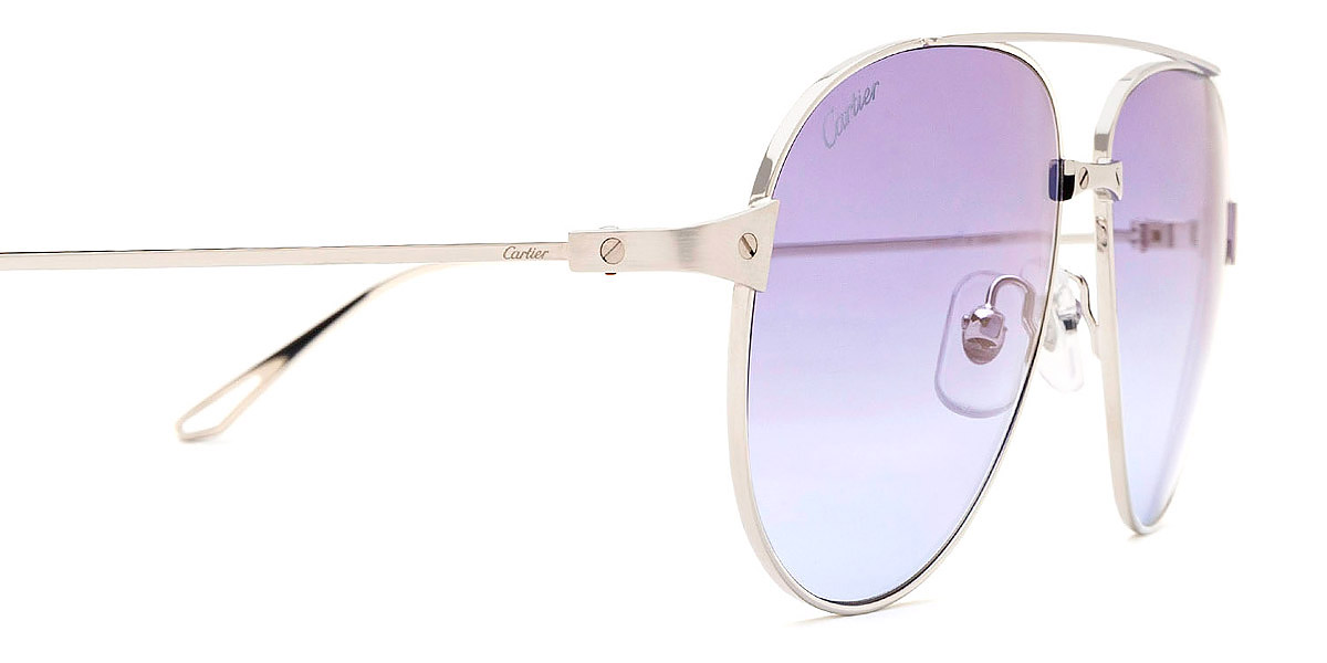Cartier™ - CT0298S Santos De Cartier