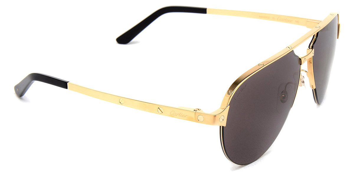 Cartier™ - CT0386S Santos de Cartier