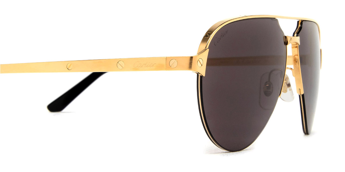 Cartier™ - CT0386S Santos de Cartier