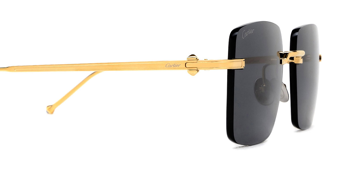 Cartier™ - CT0403S Pasha de Cartier