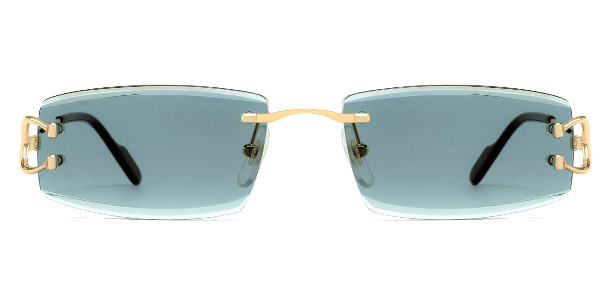 Cartier™ - CT0465S Signature C de Cartier