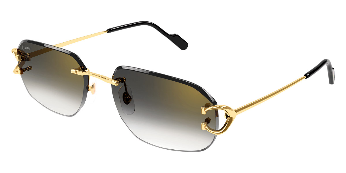 Cartier™ - CT0468S Signature C de Cartier