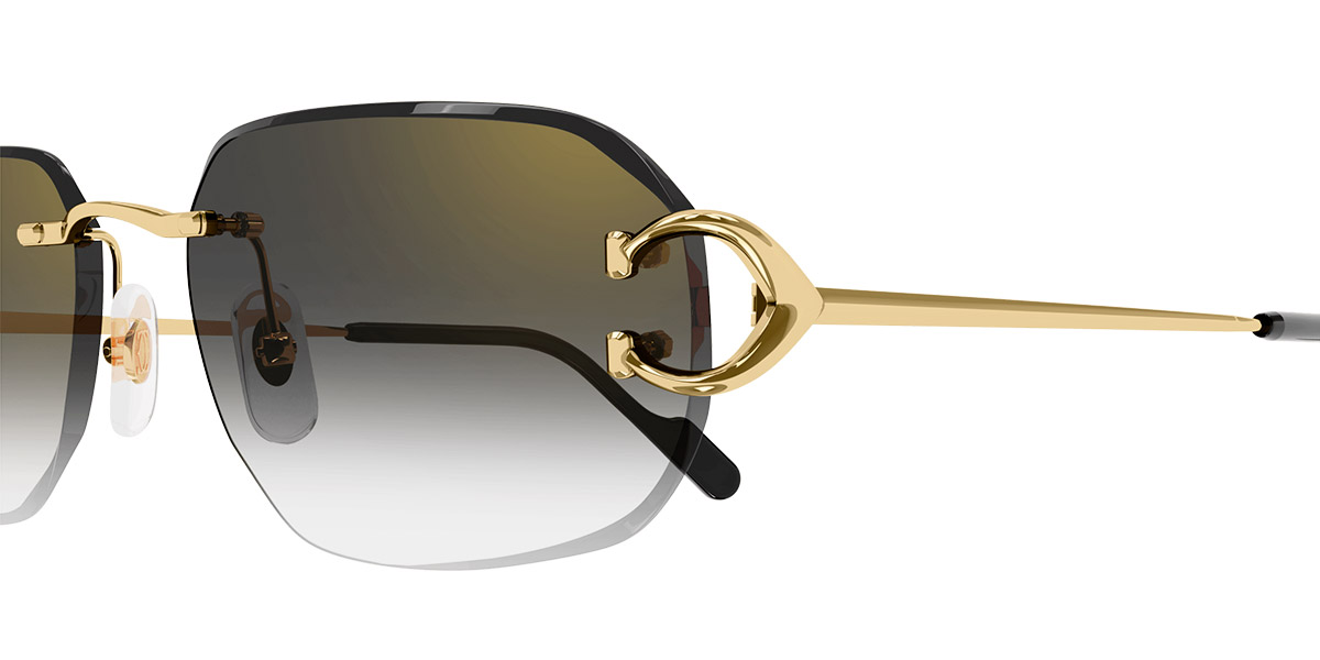 Cartier™ - CT0468S Signature C de Cartier