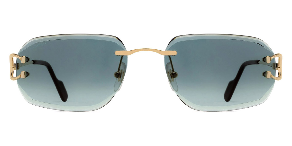 Cartier™ - CT0468S Signature C de Cartier