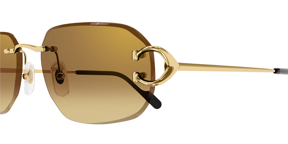 Cartier™ - CT0468S Signature C de Cartier