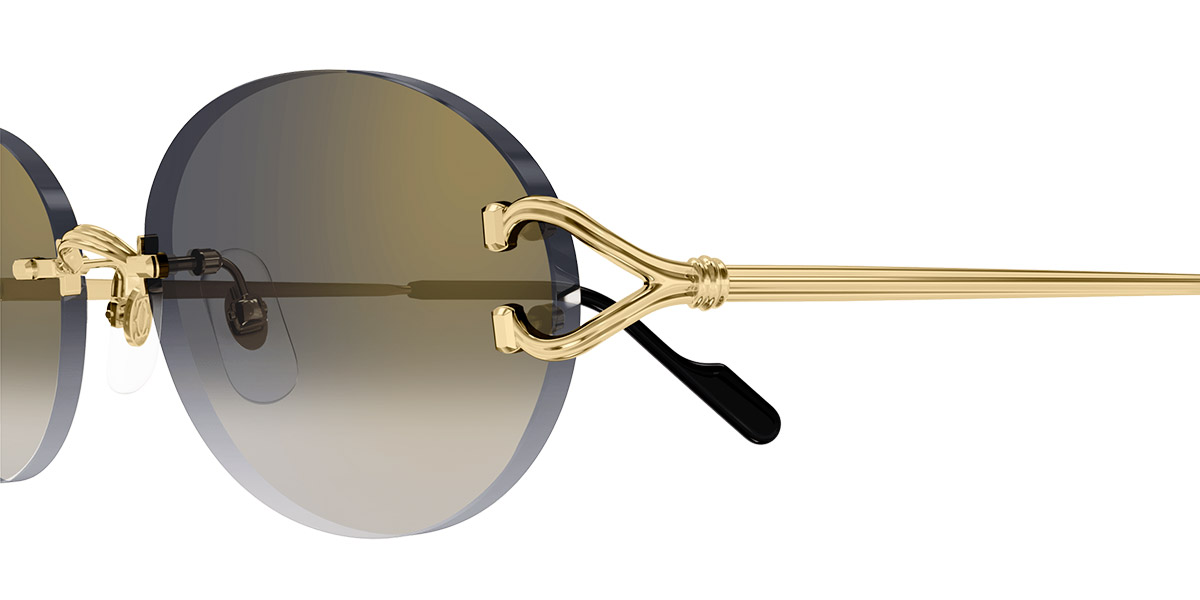 Cartier™ - CT0551S Signature C de Cartier