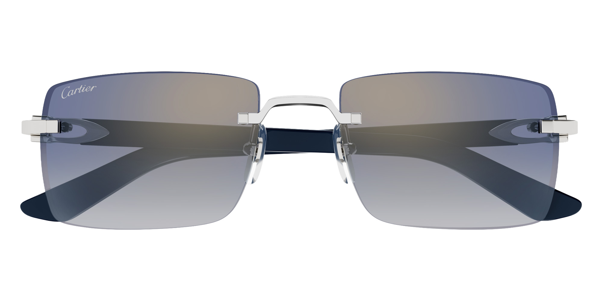 Cartier™ - CT0579S C Décor