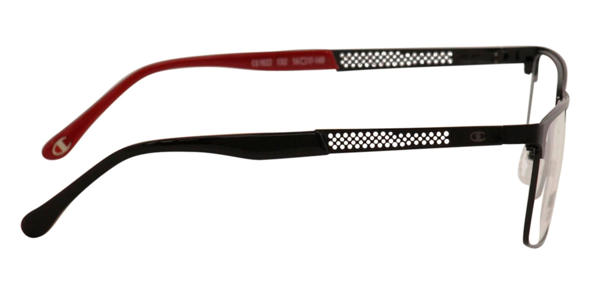 Color: Black (c02) - Champion CHA1022c0256