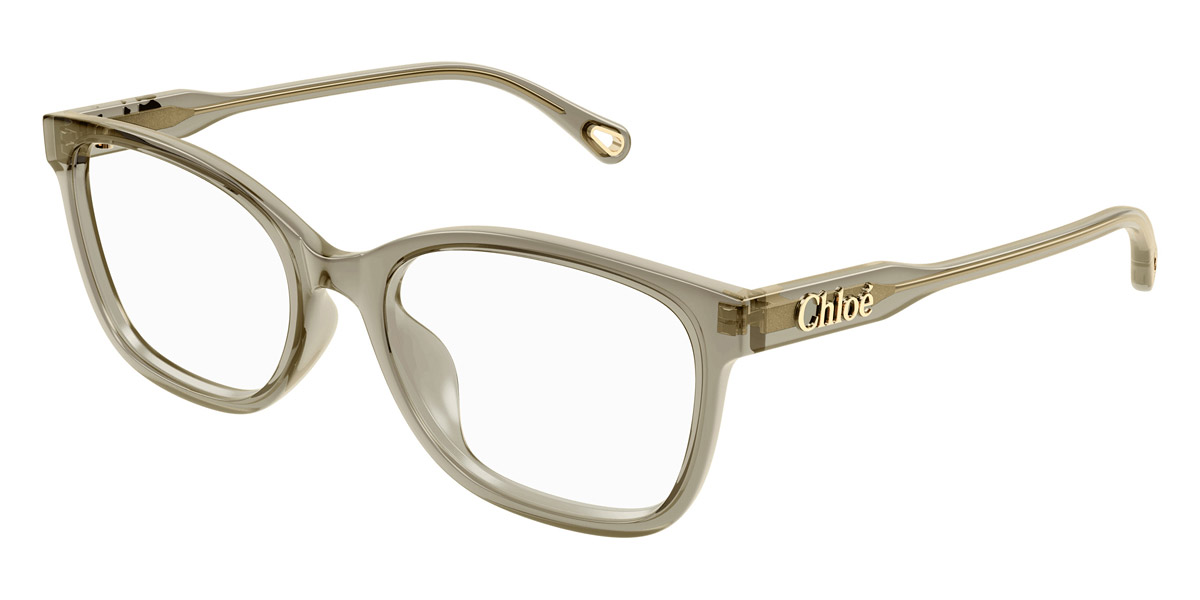 Color: Green (004) - Chloé CH0276OA00454