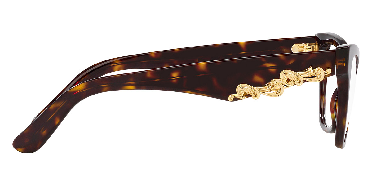 dolce gabbana havana