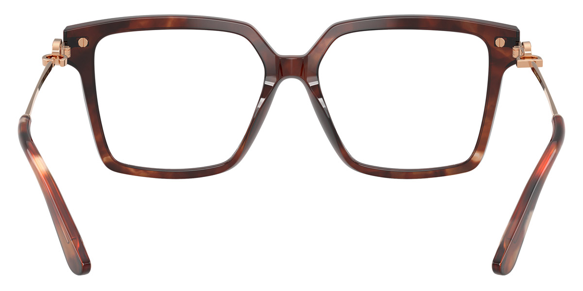 Color: Havana/Rose Gold (3222) - Dolce & Gabbana DG3397322254