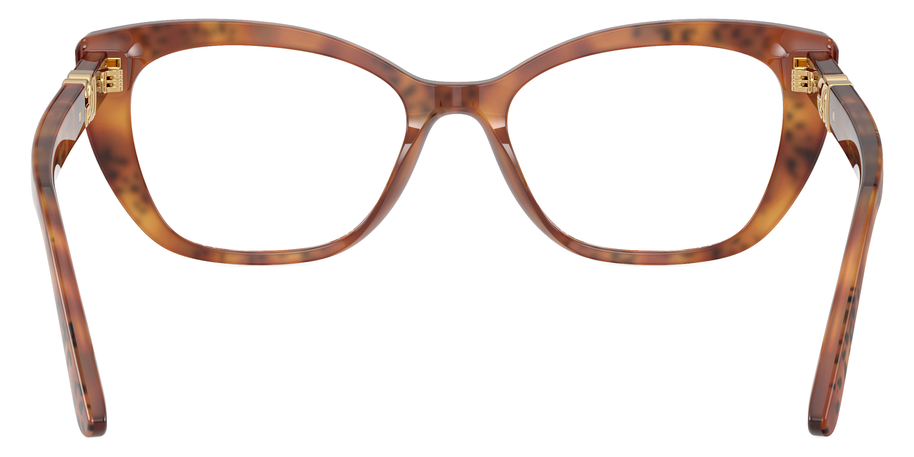 Color: Havana Leo (3380) - Dolce & Gabbana DG3398338052