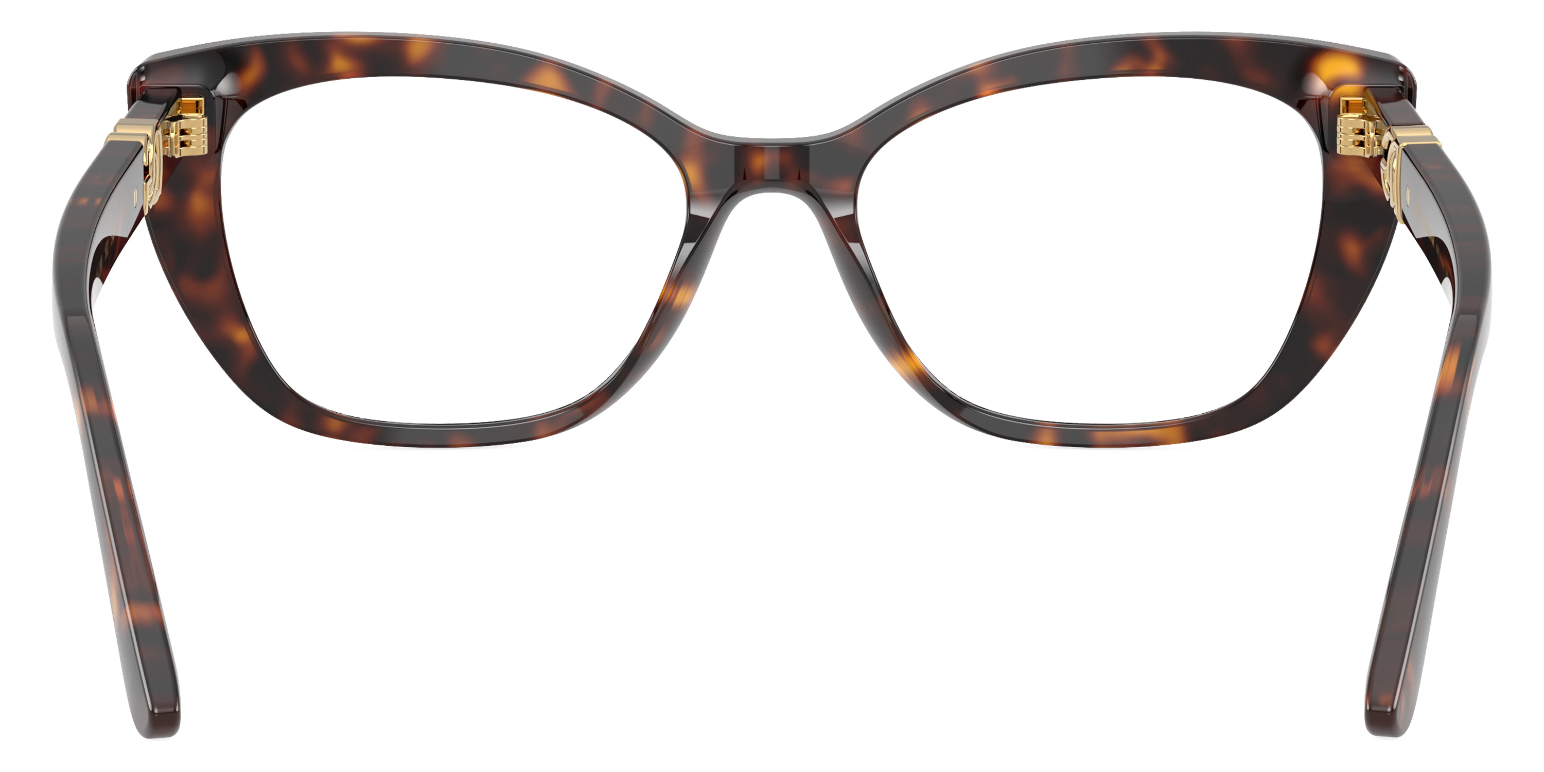 Color: Havana (502) - Dolce & Gabbana DG339850252