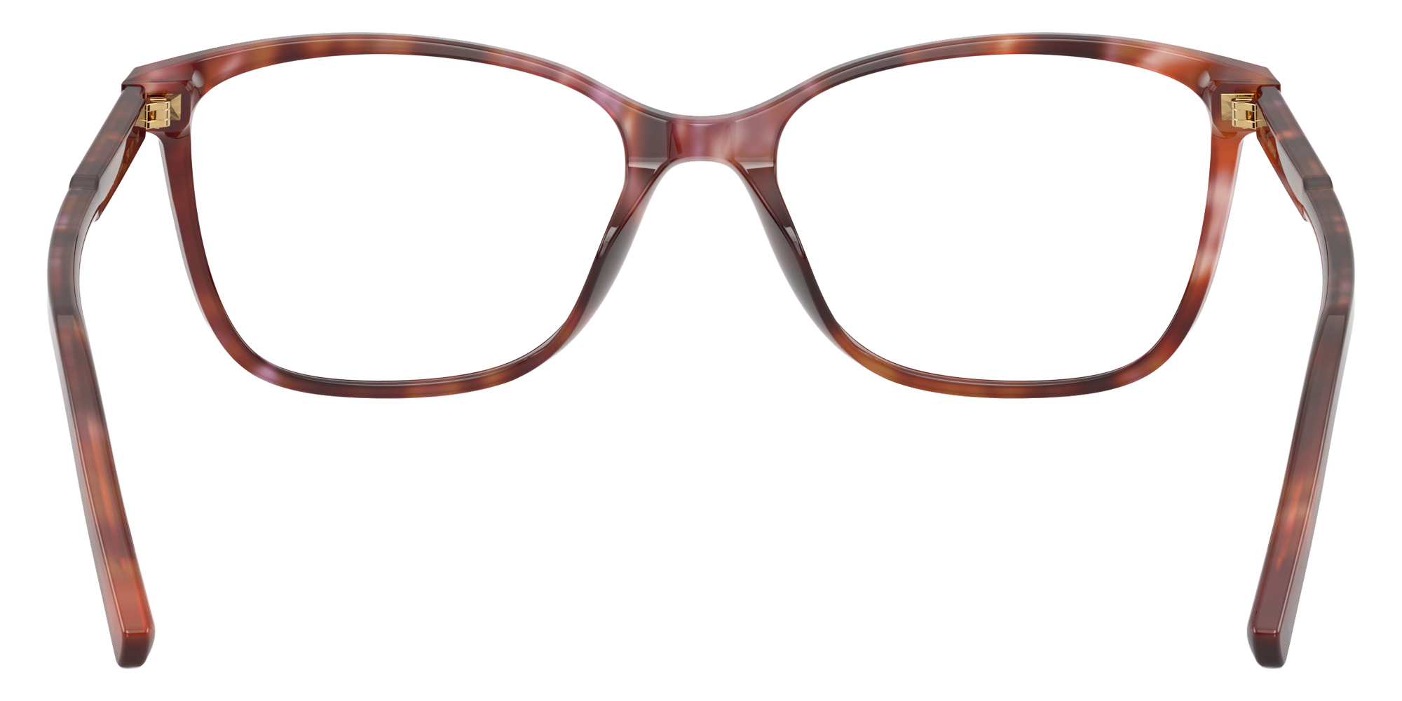 Color: Havana Brown (3444) - DOLCE & GABBANA DG3424344454