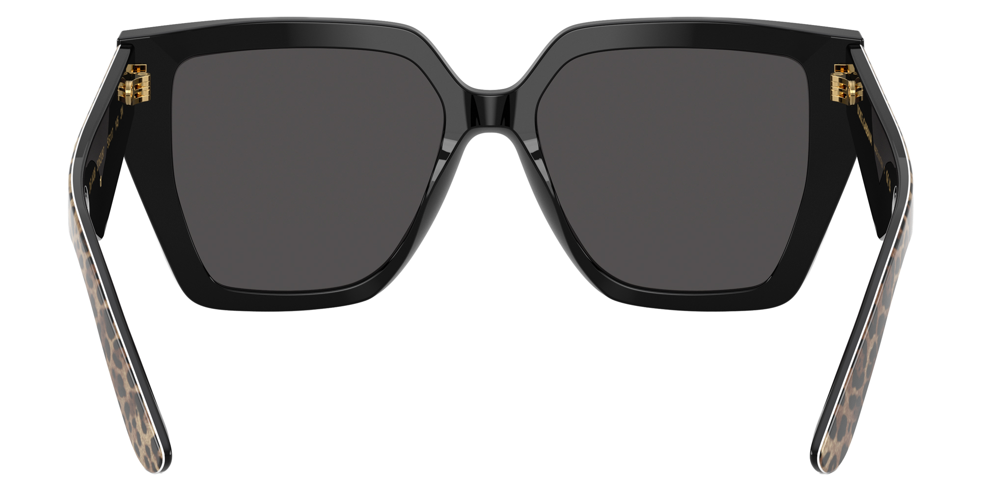 Color: Leo Brown on Black (316387) - DOLCE & GABBANA DG443831638755