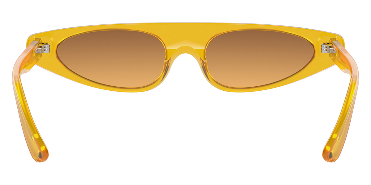 Dolce & Gabbana™ - DG4442