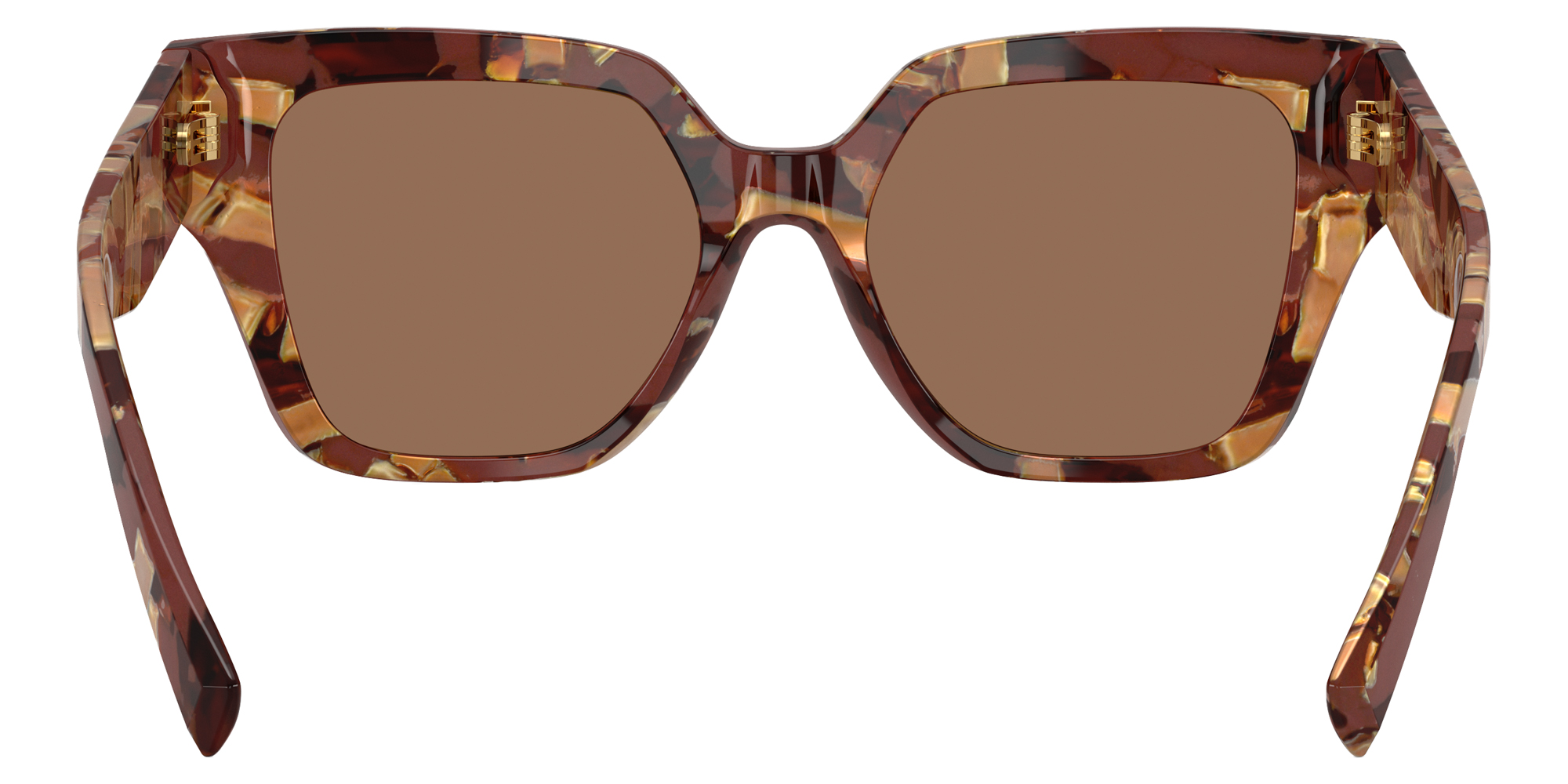 Color: Pearl Havana Brown (346273) - DOLCE & GABBANA DG447134627352