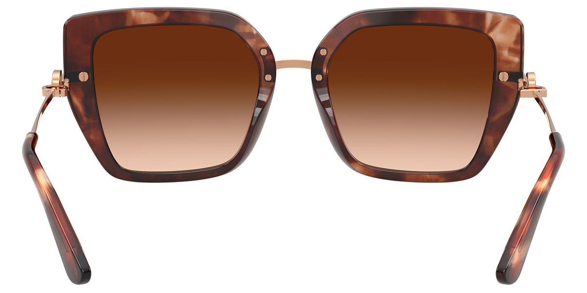Color: Havana/Rose Gold (322274) - Dolce & Gabbana DG447432227453