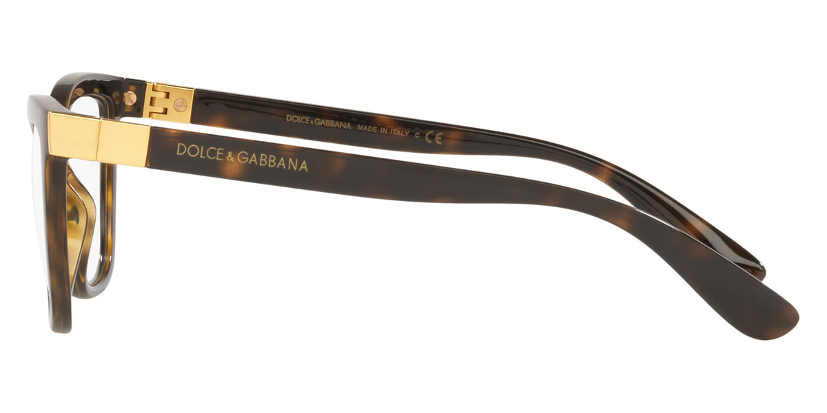 Color: Havana (502) - Dolce & Gabbana DG507650253