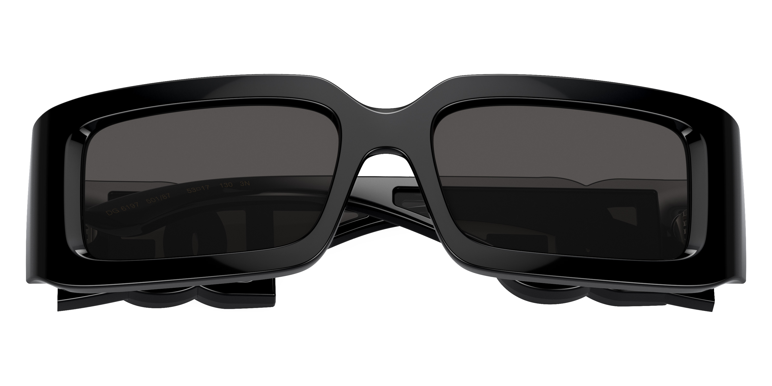 Color: Black (501/87) - Dolce & Gabbana DG6197501/8753