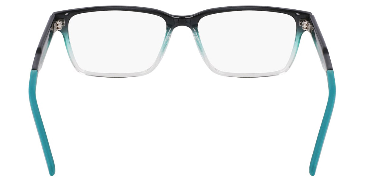 Dragon™ - DR9013