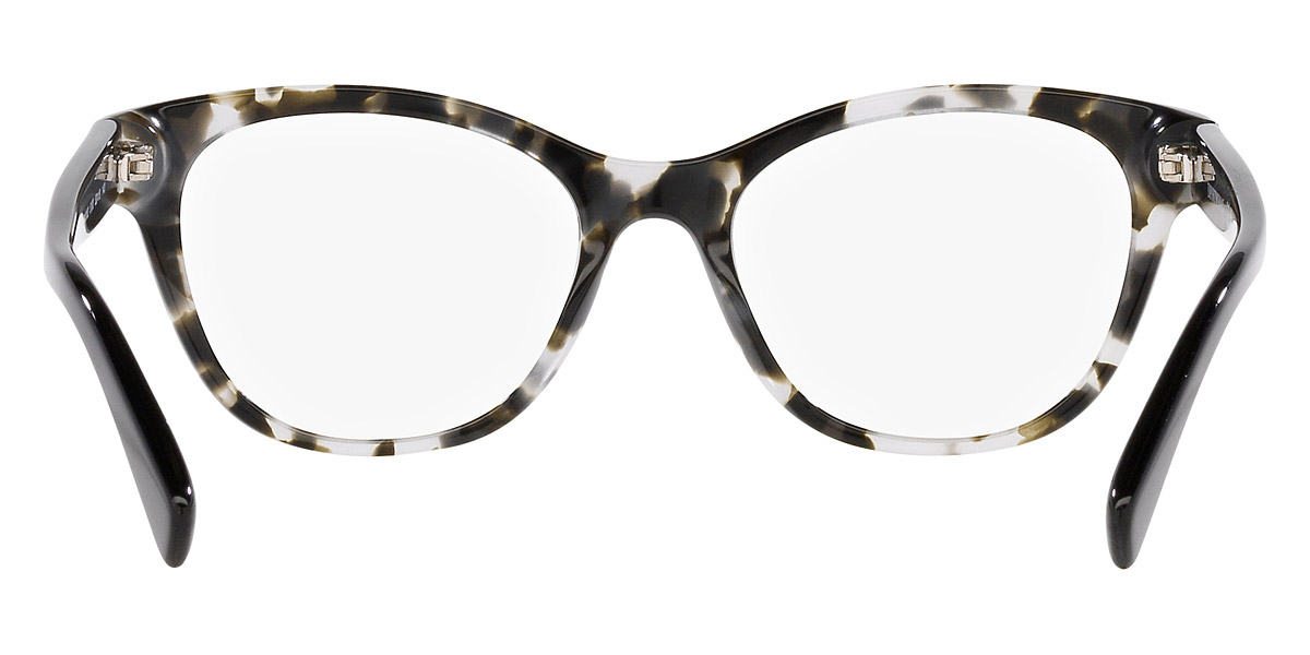 Color: Gray Havana and Black (5193) - Emporio Armani EA3162519352