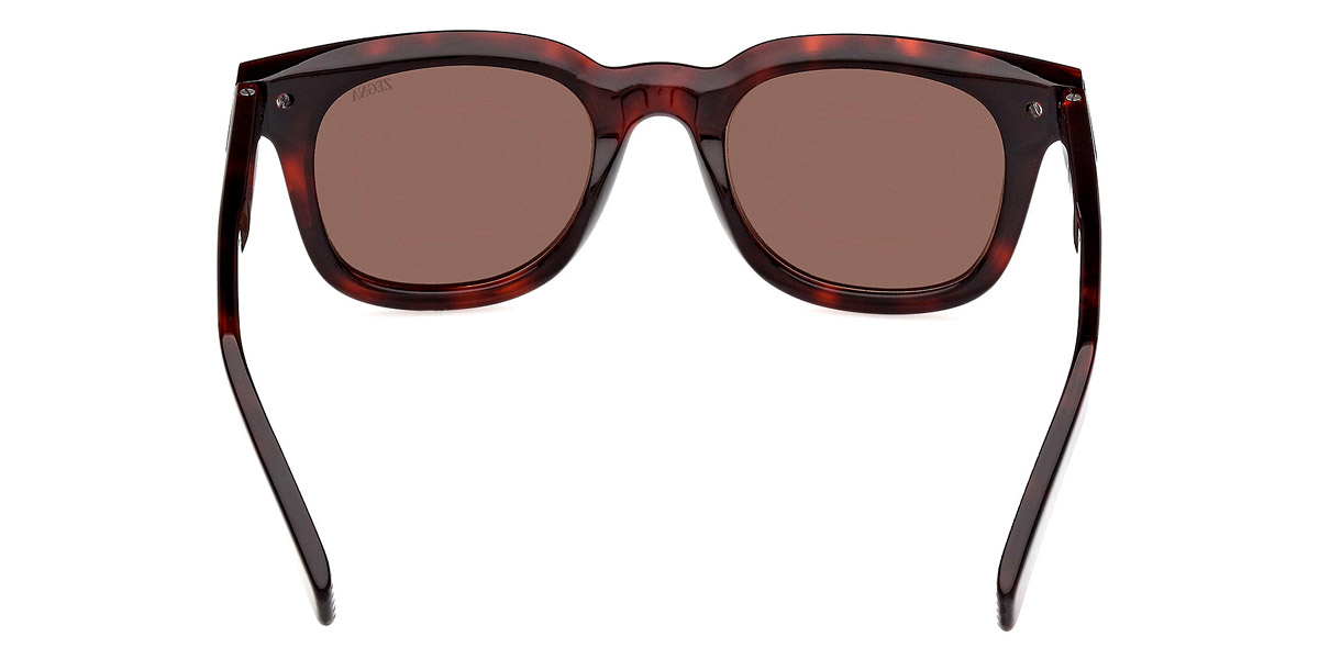 Color: Red Havana (54E) - Ermenegildo Zegna EZ023854E50