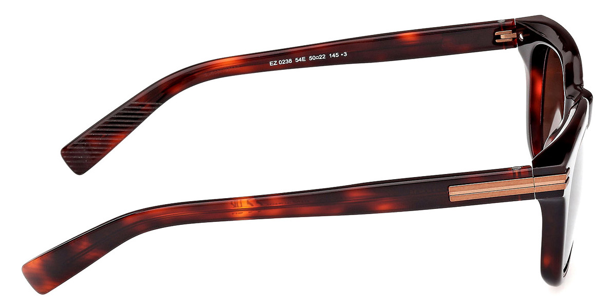 Color: Red Havana (54E) - Ermenegildo Zegna EZ023854E50