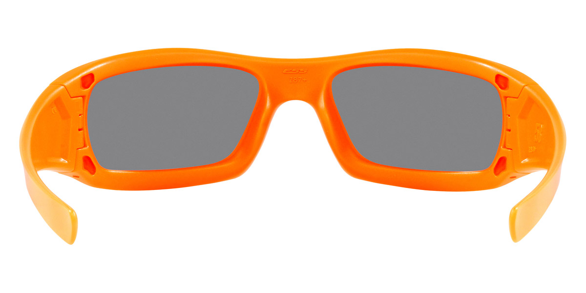 ESS™ - 5B EE9006