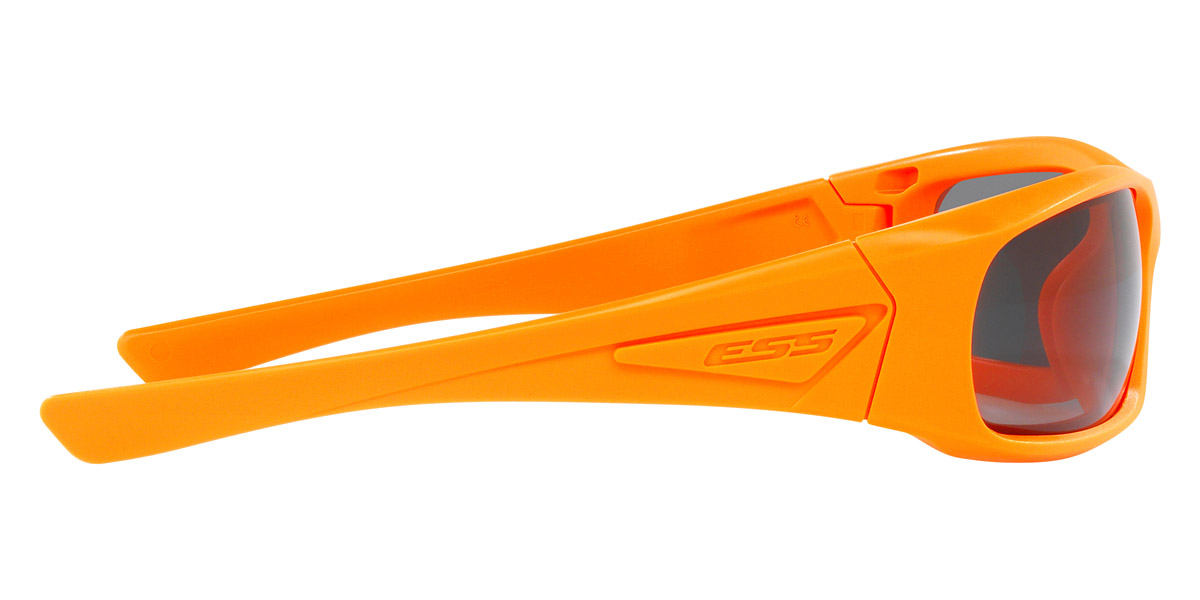 ESS™ - 5B EE9006