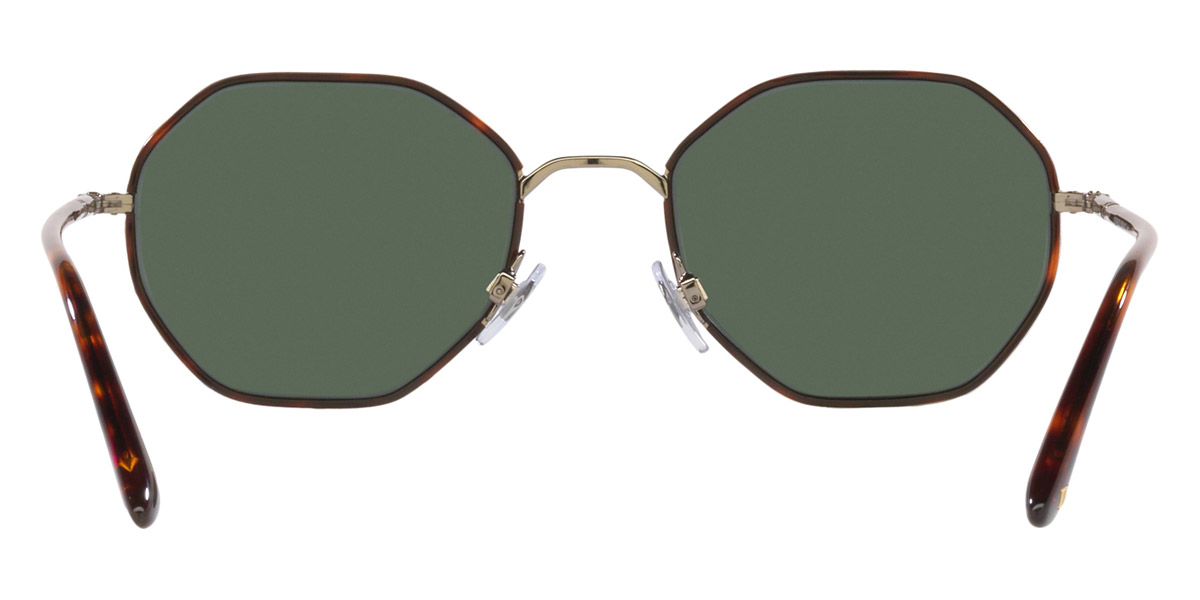 Color: Brushed Pale Gold/Red Havana (319871) - Giorgio Armani AR6112J31987152