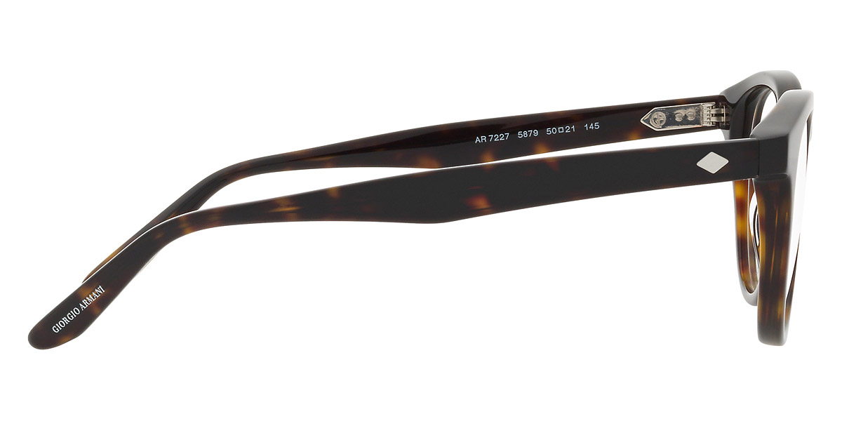 Color: Havana (5879) - Giorgio Armani AR7227587948