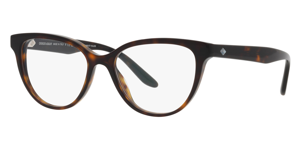 Color: Havana (5879) - Giorgio Armani AR7228U587953