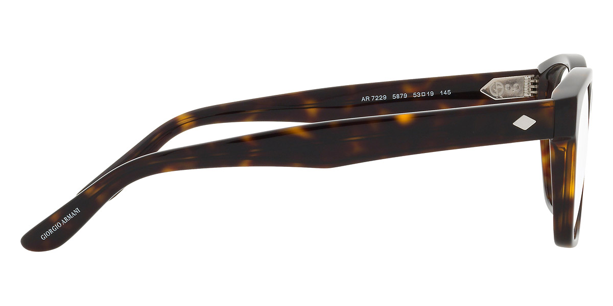 Color: Havana (5879) - Giorgio Armani AR7229587951