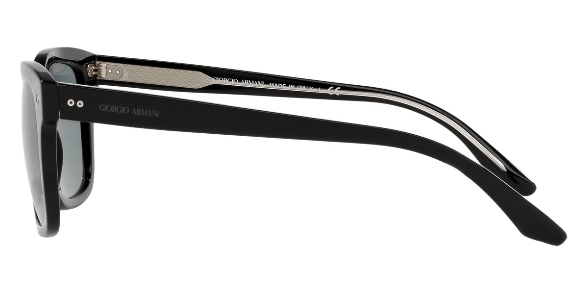 Giorgio Armani™ AR8138 500156 51 Black Sunglasses