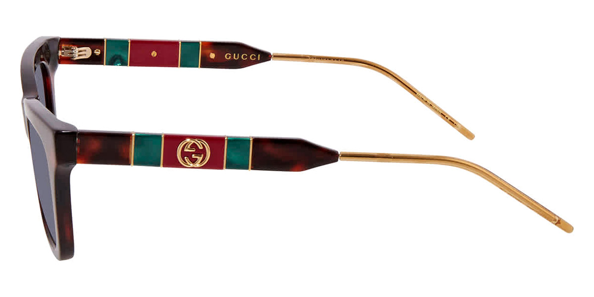 Color: Havana (002) - Gucci GG0598S00253